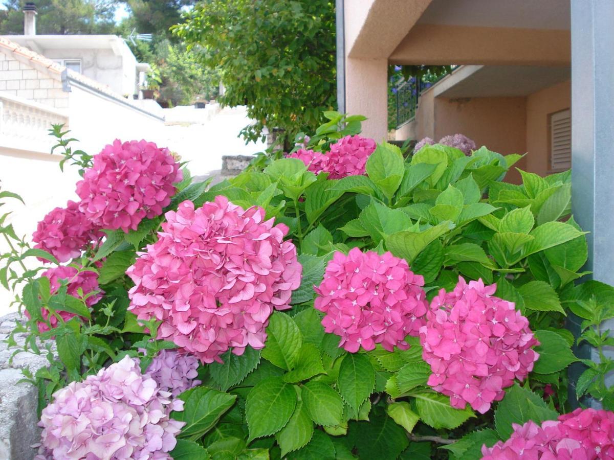 Apartments Ivanka Okrug Gornji Chambre photo